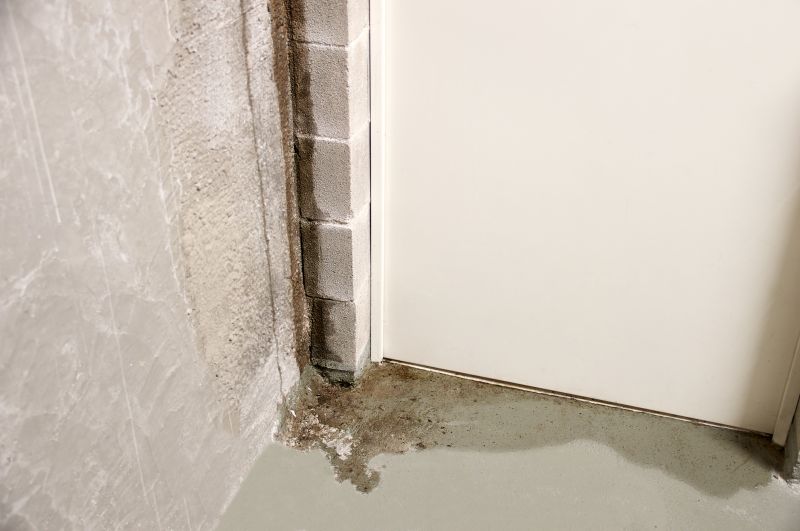 Interior Water Damage